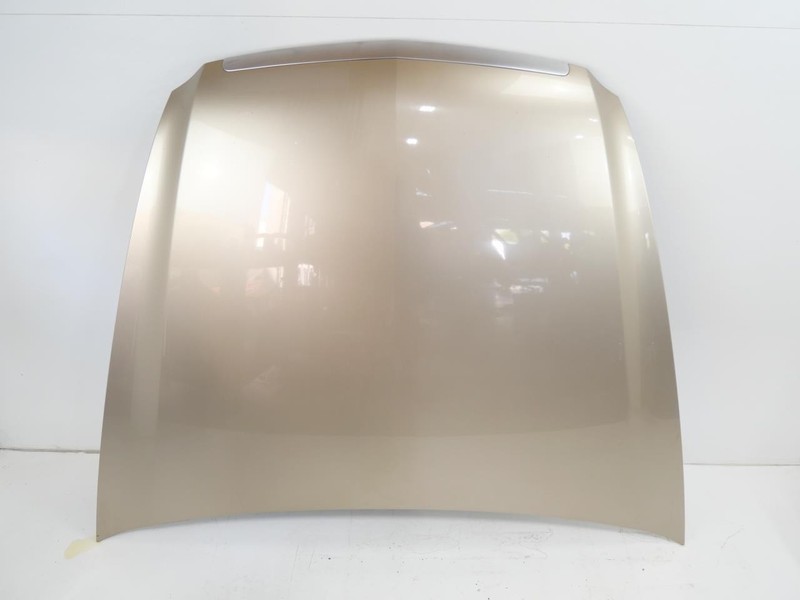 2004-2008 Acura TL Front Hood Bonnet Lid Cover Panel Gold OEM