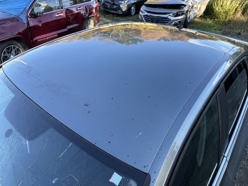 2019-2024 Volkswagen Jetta Roof Gray