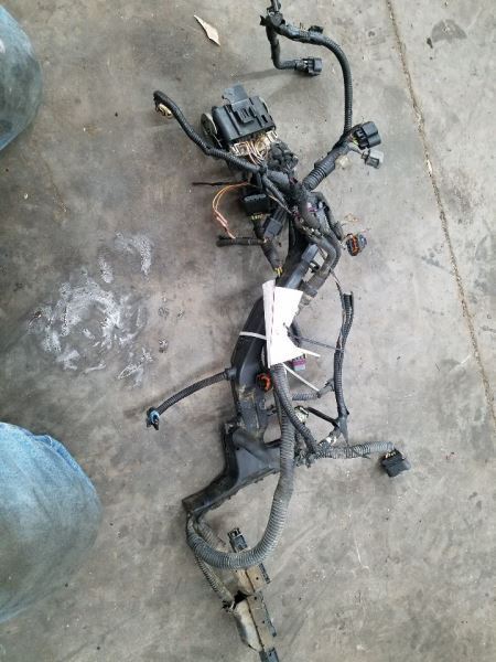 SILVRDO25 2002 Engine Wire Harness 265476
