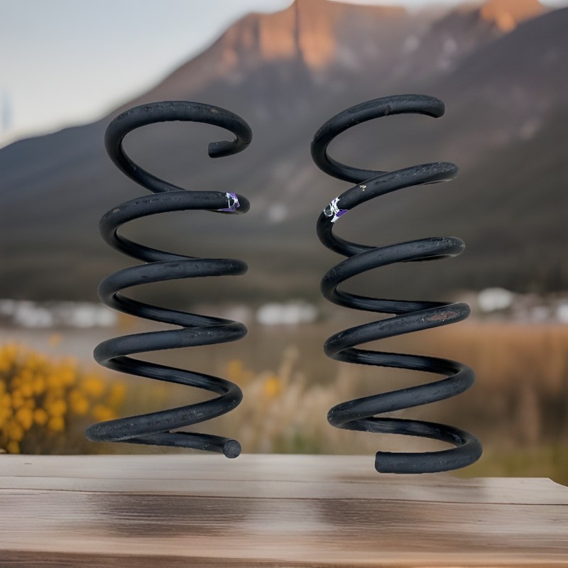 ✅ 13-16 GMC ACADIA DENALI Rear Left & Right Spring Shock Absorber Spring Pair ✅