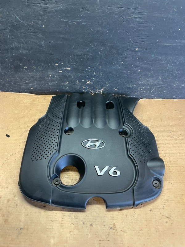 2006 - 2009 Hyundai Santa Fe V6 Engine Motor Cover OEM s1141 DG