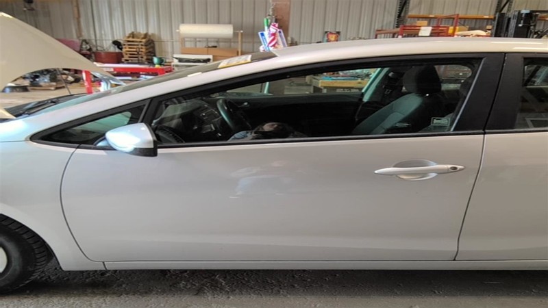 Driver Front Door Hatchback Mexico Built Fits 17-18 FORTE 3558413