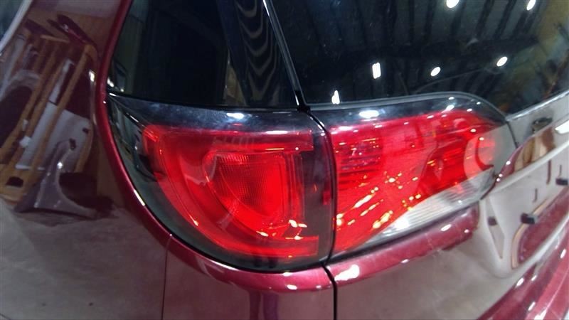 Driver Tail Light Incandescent Lamps Fits 17-19 PACIFICA 3243560