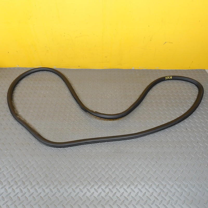 2017-2023 CHEVROLET BOLT EV REAR RIGHT DOOR BODY WEATHERSTRIP SEAL OEM 42588070