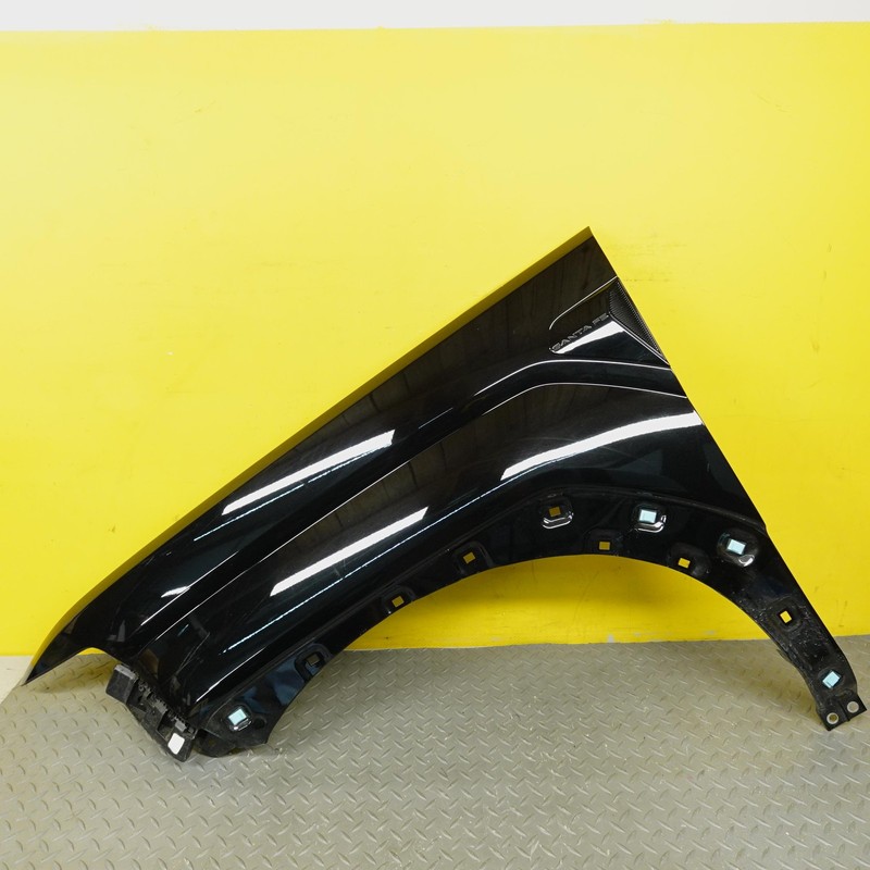 2024-2025 HYUNDAI SANTA FE FENDER PANEL LEFT FRONT OEM 66310R6000 BLACK_S3B