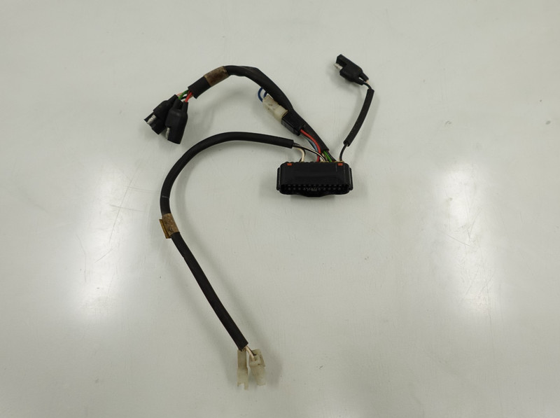 2014-2025 Polaris Indy LXT 550 OEM ECU Wiring Harness 3090378 4017267