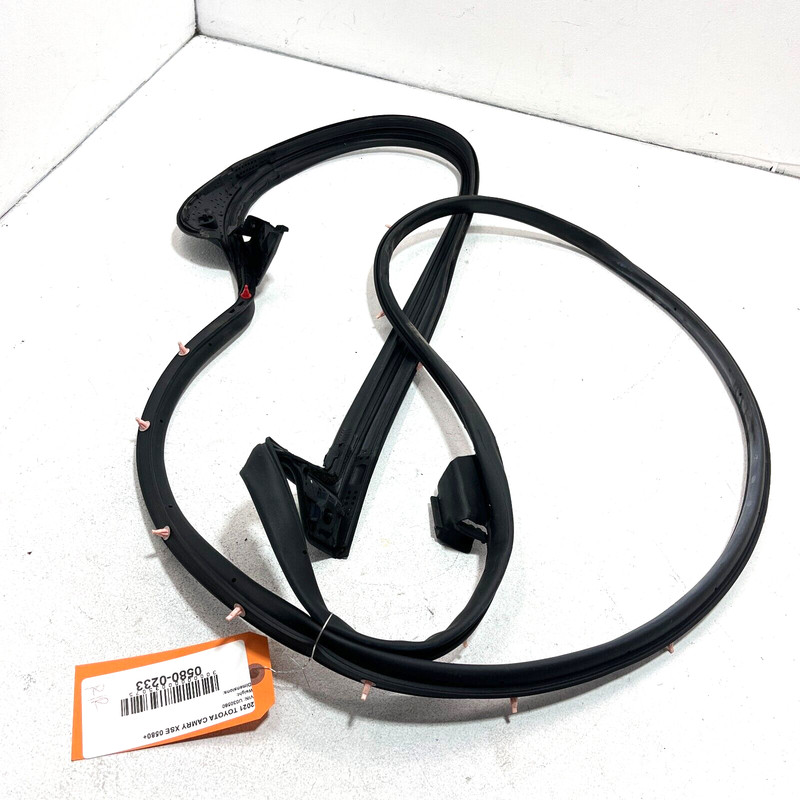 Rear Right Passenger Side Door Weatherstrip Seal Toyota Camry 2018-2023 OEM