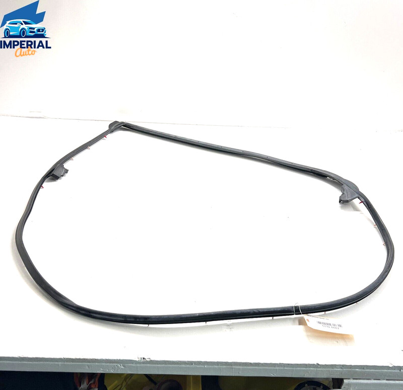 REAR RIGHT PASSENGER SIDE DOOR WEATHERSTRIP SEAL OEM TOYOTA CAMRY XSE 2018-2021