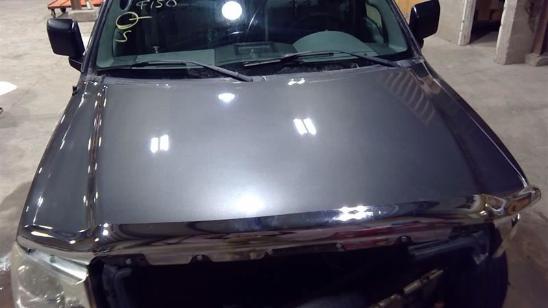 Hood Fits 04-08 FORD F150 PICKUP 3177291