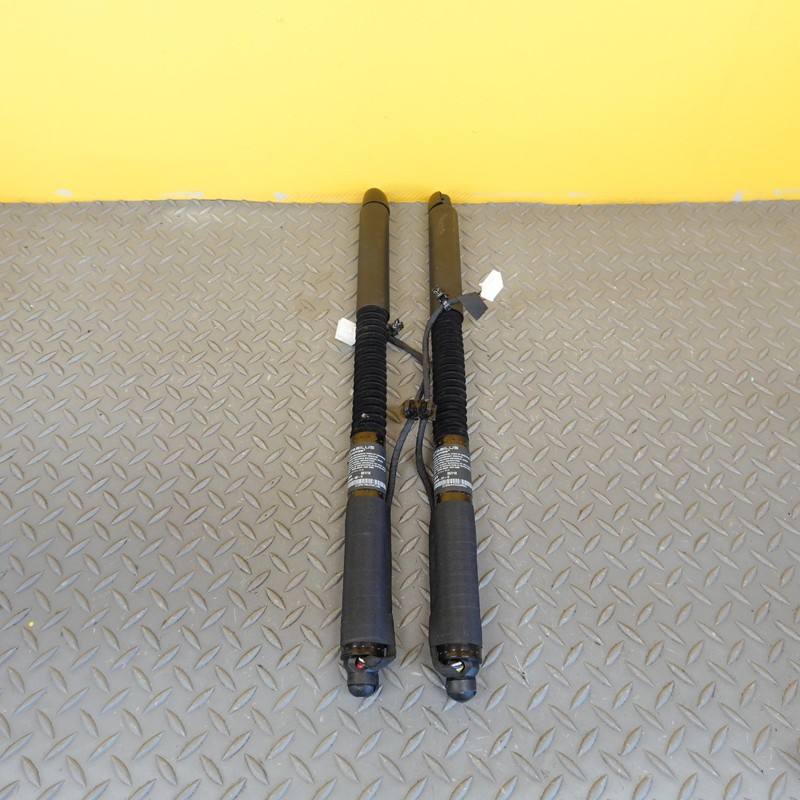 2016-2020 TESLA MODEL X REAR FALCON DOOR LIFT STRUT CYLINDER SET LEFT RIGHT OEM