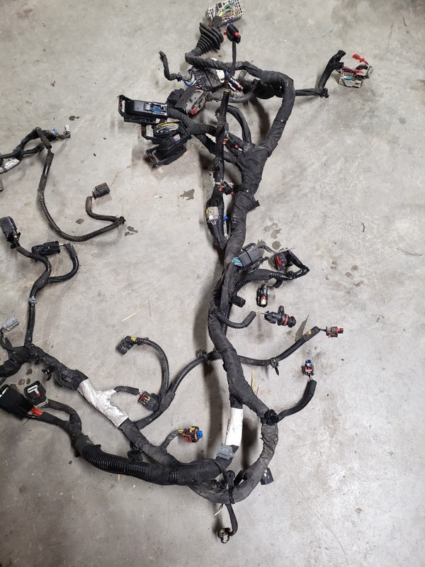 2022 Chevy Equinox Engine Wire Harness 4-22,1.5L,6SPD AUTO,AWD, RS