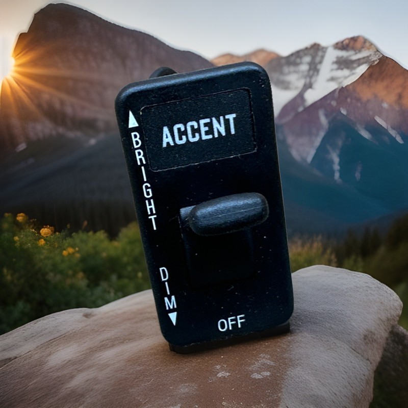✅ 2022 INTERNATIONAL MV OEM ACCENT ACCESSORY LIGHT SWITCH ✅