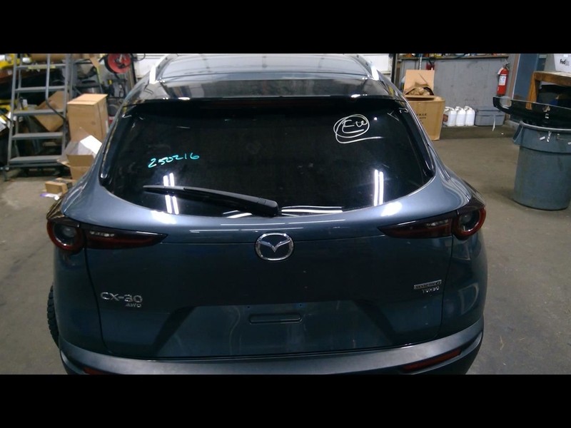 Trunk/Hatch/Tailgate Privacy Tint Glass Fits 20-23 MAZDA CX-30 1610923