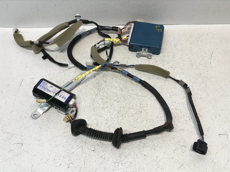 2004-2006 Lexus LS430 Rear Left Driver Door Wire Wiring Harness w/ Multiplex OEM
