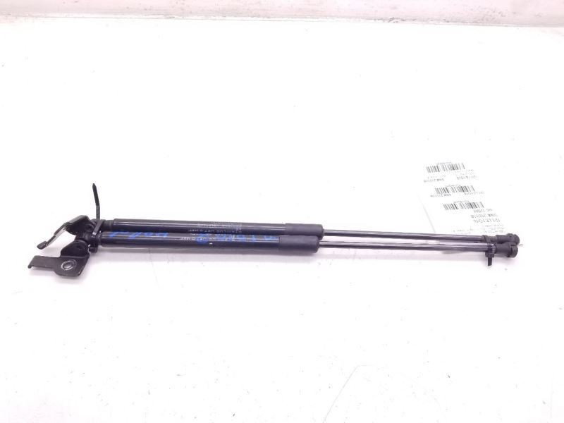 2016 LEXUS NX200T LEFT AND RIGHT SIDES HOOD STRUT PAIR