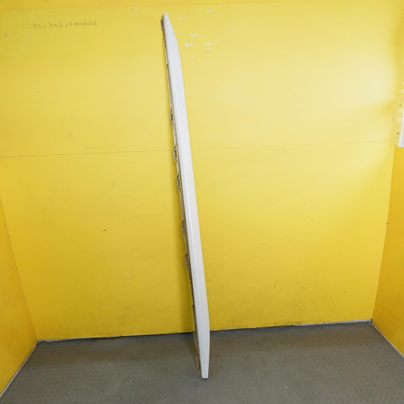 2020-2025 NISSAN SENTRA SR Left Side Rocker Molding Cover Panel Oem WHITE_XAB
