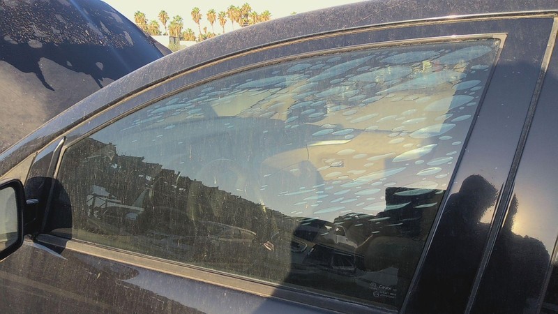 Front Door Glass/window SUBARU TRIBECA Left 06 07 08 09 10 11 12 13 14