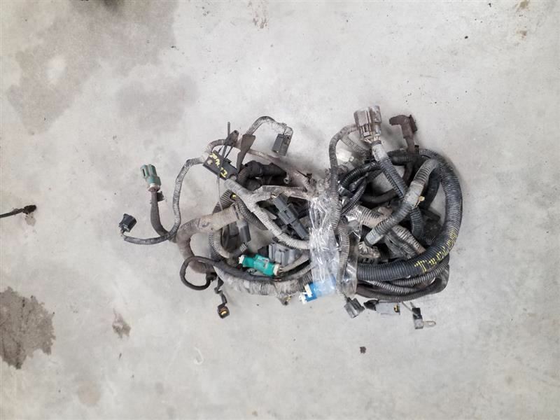 F2501998 Engine Wire Harness 238047