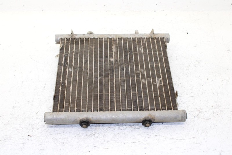 2002 Arctic Cat 375 Automatic (4x4 Green) Oem Radiator 0413-053 AA29
