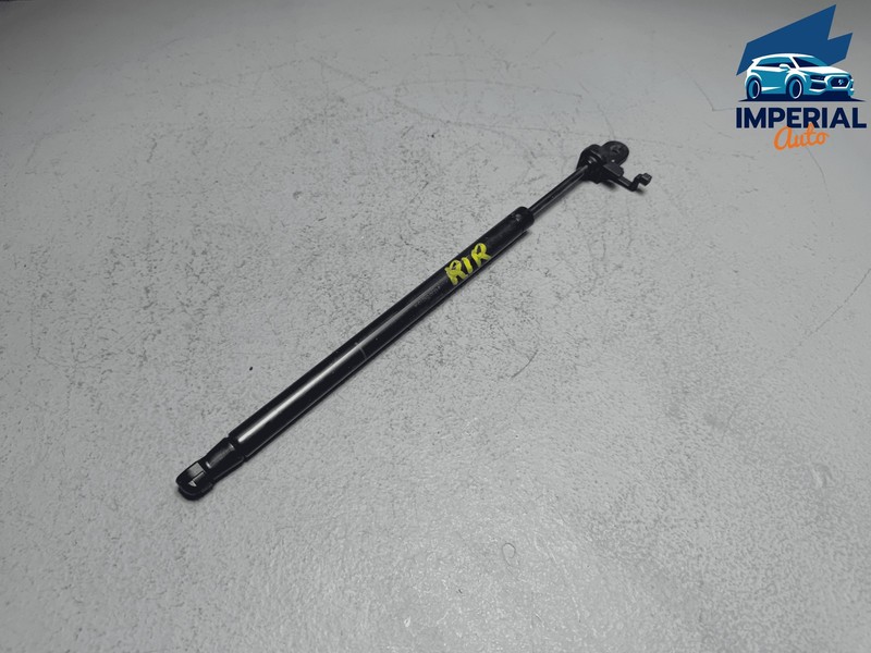 Toyota Camry Trunk Deck Lid Passenger Side Lift Support Strut OEM 2018-2025