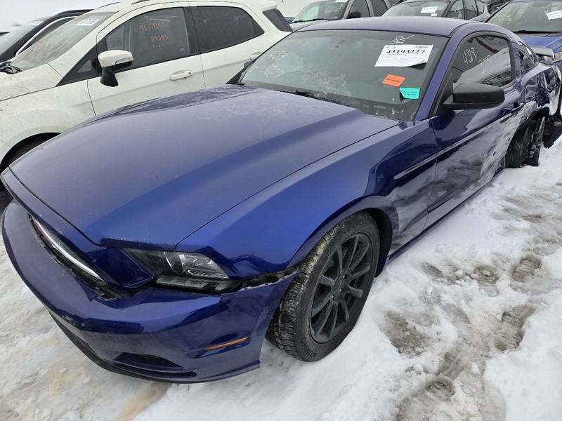 Driver Left Fender Base V6 Fits 10-14 MUSTANG 3613632