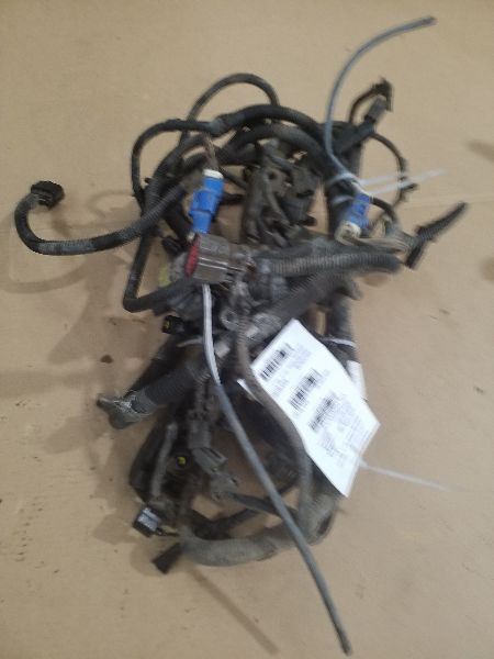 F2501999 Engine Wire Harness 191653