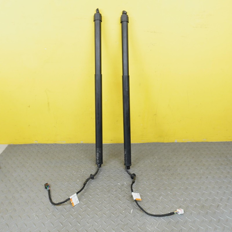 2024-2025 HYUNDAI SANTA FE REAR TRUNK POWER LIFT SUPPORT STRUT OEM 81841P6101