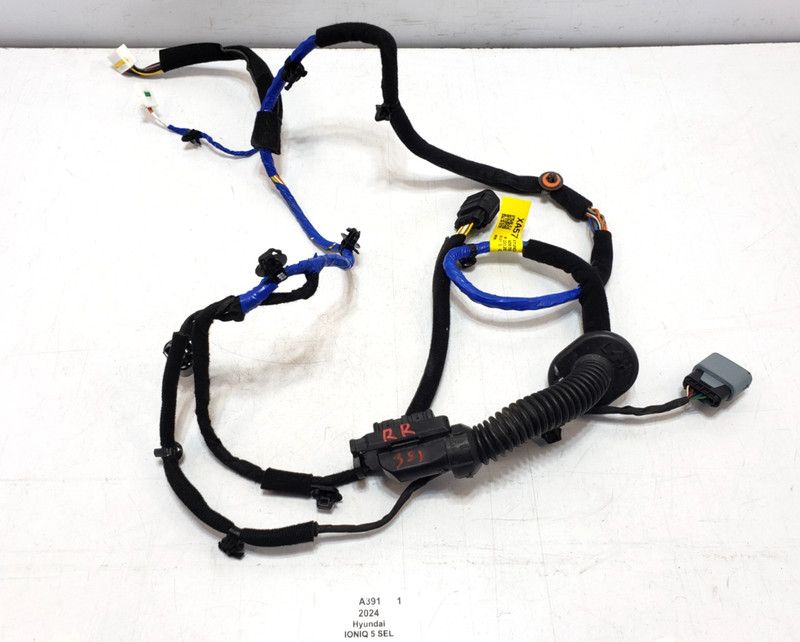 ✅ 22-24 Hyundai IONIQ 5 SEL Rear Right Passenger Door Wire Wiring Harness 32k