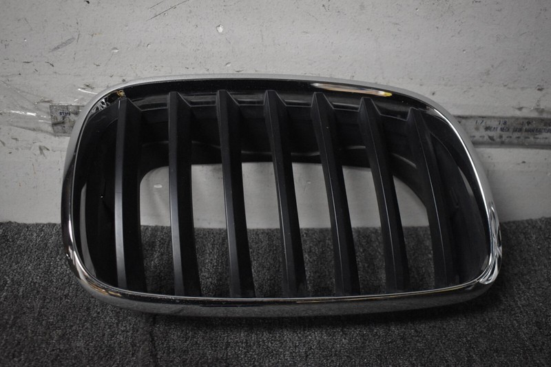 2009 BMW X5 RIGHT SIDE GRILLE FACTORY OEM