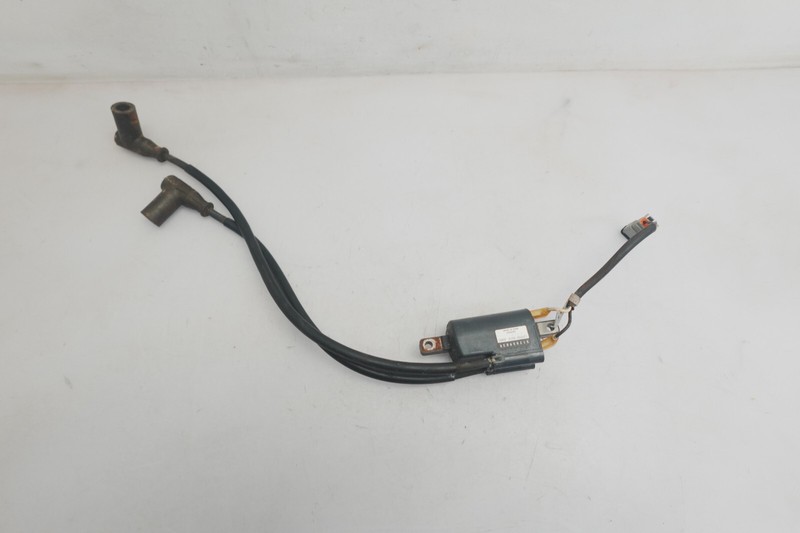 1999-2001 Ski-Doo OEM Ignition Coil Ass'y Spark MXZ Summit Grand Touring Skandic