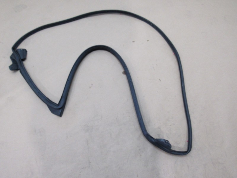 Lexus IS300 2020 Front Right Passenger Door Outer Weatherstrip Seal 14-21 ;