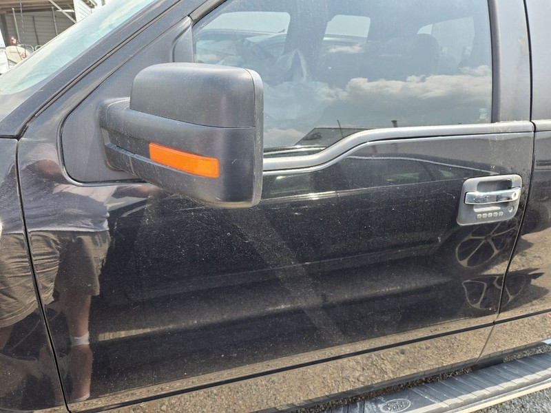 Driver Front Door Electric Fits 09-14 FORD F150 PICKUP 3526681