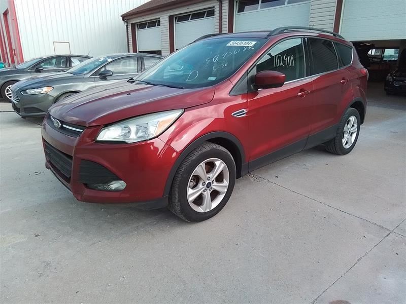 ESCAPE2016 Fender 3288727