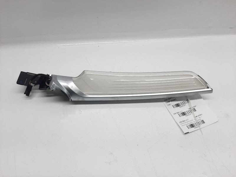 BMW G11 740i 750i Right Rear Door Vanity Light Lamp Saber 51427469542