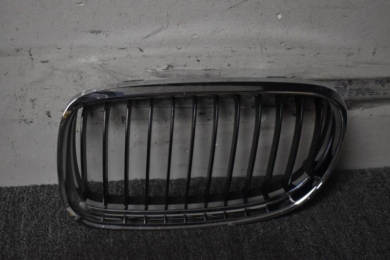 2009-2011 BMW 335I BASE GRILLE LEFT SIDE FACTORY OEM