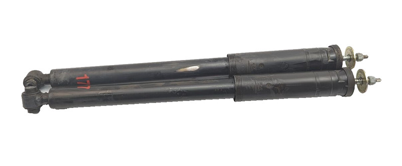 03-09 Mercedes W211 E320 E350 Shock Strut Absorber Rear Left And Right Set OEM