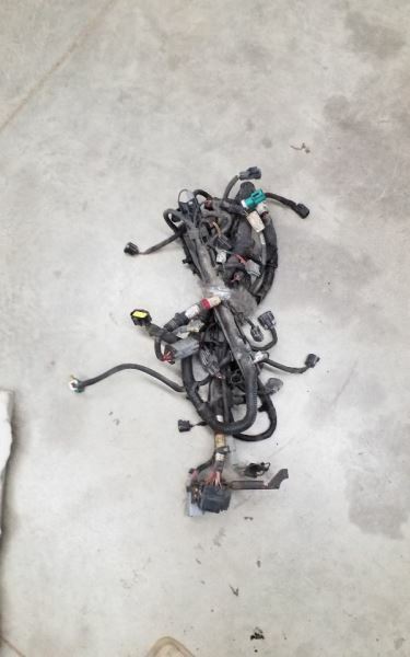 E1502001 Engine Wire Harness 235681