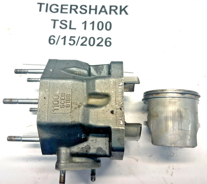 Arctic Cat Tigershark TS1100LI TS1100R TS 1100 cylinder cylinders jug barrel 99