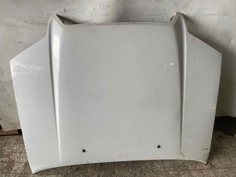 Hood TOYOTA 4RUNNER 03 04 05 06 07 08 09