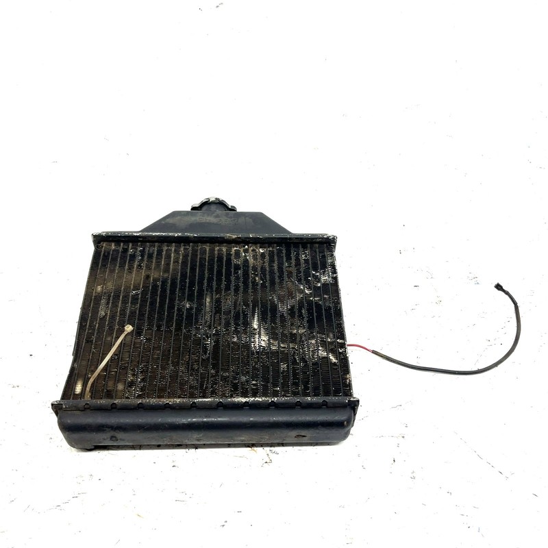 1993 Polaris Trail Boss 350L 4X4 OEM Radiator 1240006 AP194