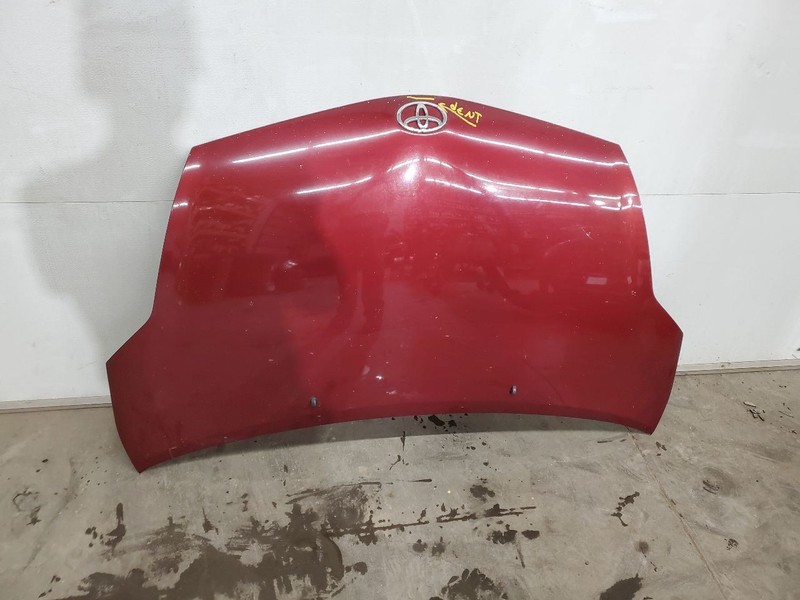 Hood Fits 04-09 PRIUS 289376