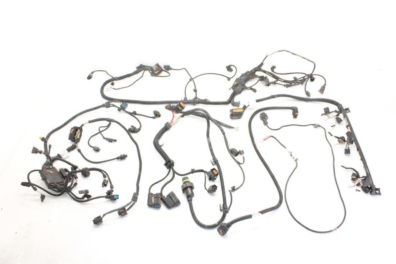 M42016 Engine Wire Harness 303552