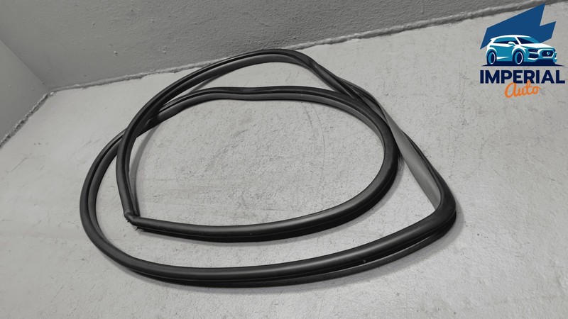 TOYOTA SIENNA FRONT PASSENGER SIDE DOOR ON BODY WEATHERSTRIP SEAL OEM 2015-2020