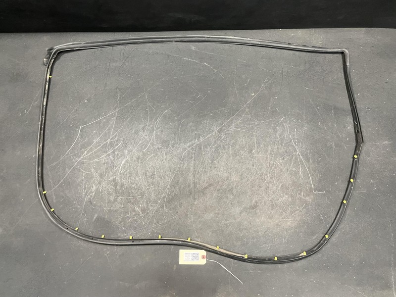 Front Right Door Weatherstrip 2019 Dodge Charger 68040044AJ 2014 2015 2016- 2023