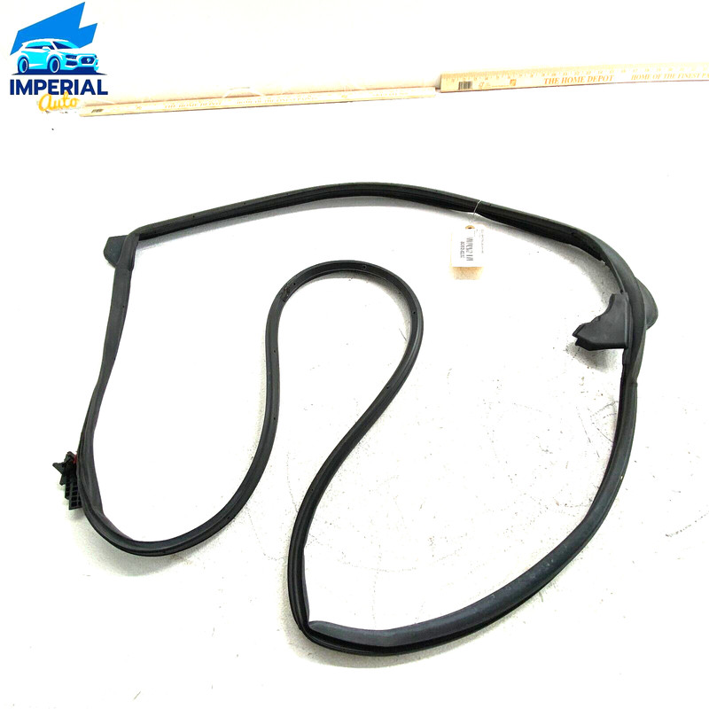 TOYOTA CAMRY 2018 - 2023 REAR RIGHT PASSENGER SIDE DOOR WEATHERSTRIP SEAL OEM