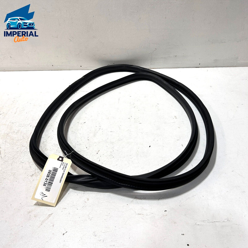 Front Left Driver Side Door Seal On Body Acura TLX 2018-2020 OEM