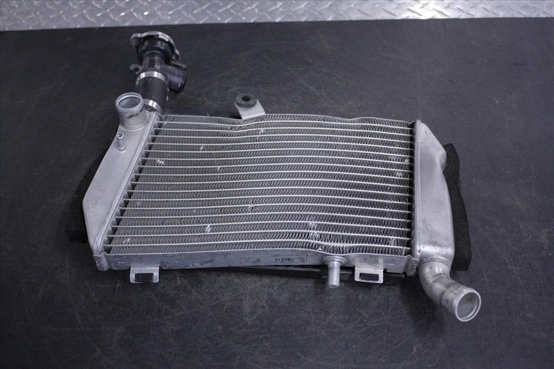 2006 HONDA VFR 800 INTERCEPTOR RADIATOR GRILL GUARD FILLER NECK CAP VFR800 06