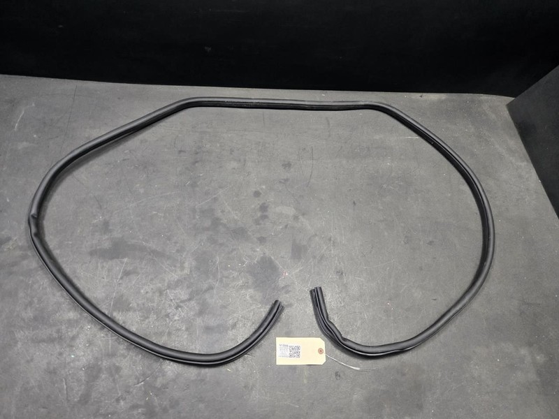 Rear Right Door Body Weatherstrip 2022 Nissan Rogue 76924-6RR0B 2021 2023 - 2025