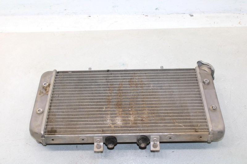 2006 Polaris Outlaw 500 Oem Radiator 1240222 2203783 AP4