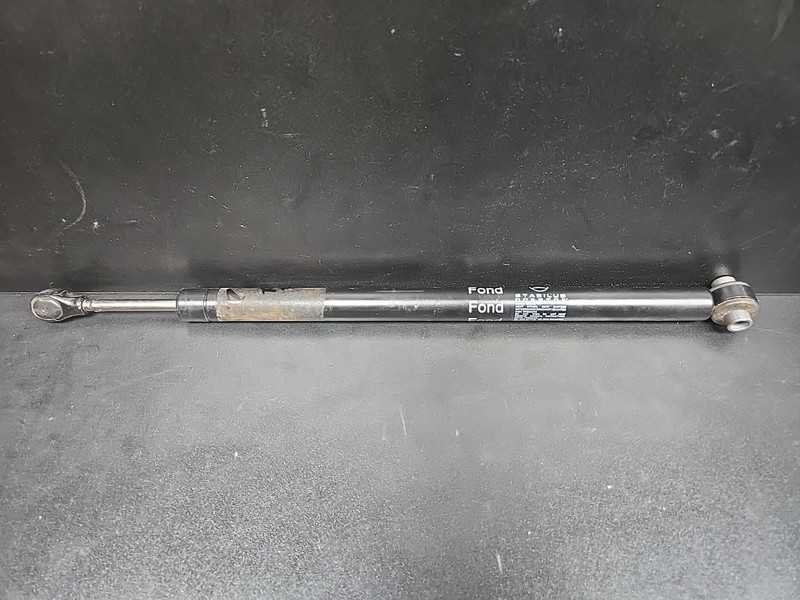 07-13 Mercedes W221 S550 S600 S63 Door Hinge Shock Strut Rear Left Or Right OEM